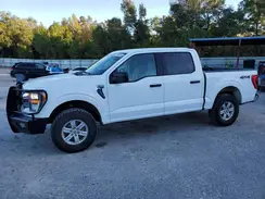 1FTFW1E5XPKD60295 2023 FORD F-150