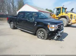 1FTFW1E5XPKE80582 2023 FORD F-150