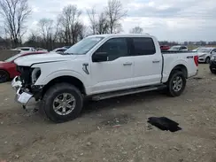 1FTFW1E80MFA70391 2021 FORD F-150