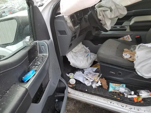 1FTFW1E80MFB63215 2021 FORD F-150 - Image 8