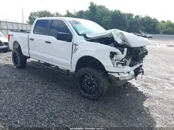 1FTFW1E80MKD75233 2021 FORD F-150