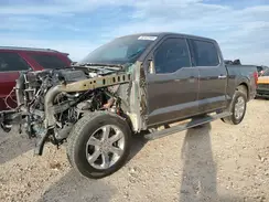 1FTFW1E80PFB47617 2023 FORD F-150