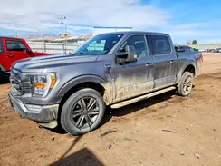 1FTFW1E80PKD03176 2023 FORD F-150