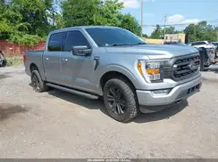 1FTFW1E80PKD17451 2023 FORD F-150