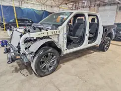 1FTFW1E80PKE48198 2023 FORD F-150