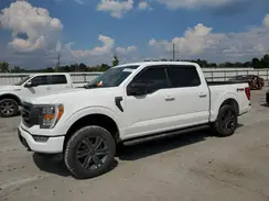 1FTFW1E80PKF69152 2023 FORD F-150