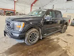 1FTFW1E80PKF86761 2023 FORD F-150