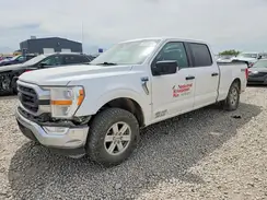 1FTFW1E81MFB32393 2021 FORD F-150