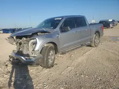 1FTFW1E81MFB48318 2021 FORD F-150