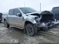 1FTFW1E81MKE50599 2021 FORD F-150