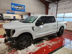 1FTFW1E81MKE91685 2021 FORD F-150