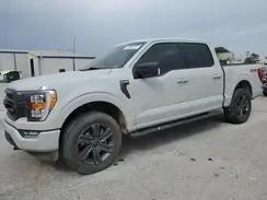 1FTFW1E81PFA06569 2023 FORD F-150