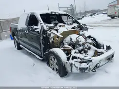 1FTFW1E81PFA67209 2023 FORD F-150