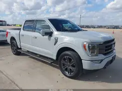 1FTFW1E81PFB43950 2023 FORD F-150