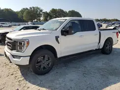 1FTFW1E81PFB46783 2023 FORD F-150