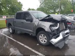 1FTFW1E81PFB58299 2023 FORD F-150