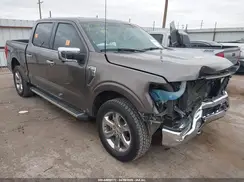 1FTFW1E81PFB67374 2023 FORD F-150