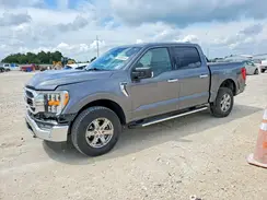 1FTFW1E81PFB71330 2023 FORD F-150