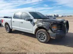 1FTFW1E81PFC44079 2023 FORD F-150