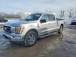 1FTFW1E81PFC49539 2023 FORD F-150