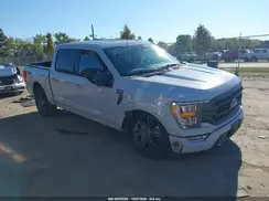 1FTFW1E81PFD03440 2023 FORD F-150