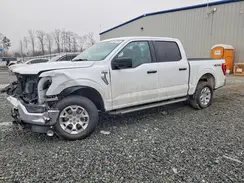 1FTFW1E81PKD37983 2023 FORD F-150