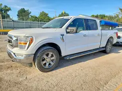 1FTFW1E81PKD46215 2023 FORD F-150