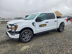 1FTFW1E81PKD59384 2023 FORD F-150