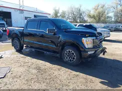 1FTFW1E81PKD76332 2023 FORD F-150