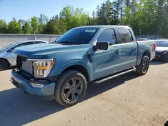 1FTFW1E81PKF24415 2023 FORD F-150