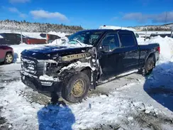 1FTFW1E82MFB50014 2021 FORD F-150