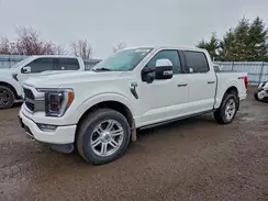 1FTFW1E82PFC10006 2023 FORD F-150