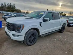 1FTFW1E82PFC12628 2023 FORD F-150