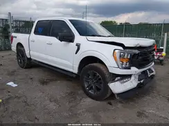 1FTFW1E82PKD03440 2023 FORD F-150