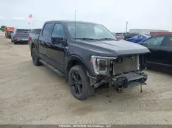 1FTFW1E82PKE87231 2023 FORD F-150