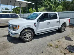 1FTFW1E82PKF55060 2023 FORD F-150