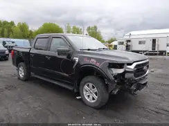 1FTFW1E83MFA72276 2021 FORD F-150