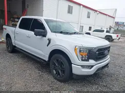 1FTFW1E83MKD97338 2021 FORD F-150