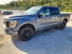 1FTFW1E83MKE31309 2021 FORD F-150