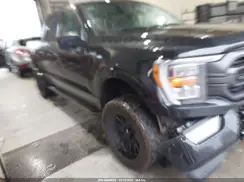 1FTFW1E83PFB15048 2023 FORD F-150