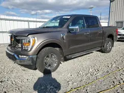 1FTFW1E83PFB17012 2023 FORD F-150
