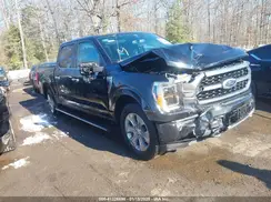 1FTFW1E83PFC65645 2023 FORD F-150