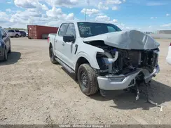 1FTFW1E83PFD01513 2023 FORD F-150