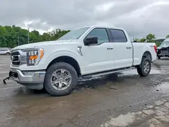 1FTFW1E83PFD02905 2023 FORD F-150