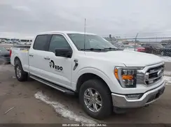 1FTFW1E83PKD47544 2023 FORD F-150