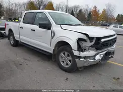 1FTFW1E83PKF65371 2023 FORD F-150
