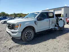 1FTFW1E84PFB03216 2023 FORD F-150