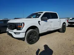 1FTFW1E84PFB75355 2023 FORD F-150
