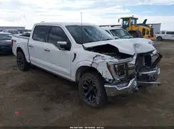 1FTFW1E84PFC28765 2023 FORD F-150