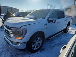 1FTFW1E84PFC67176 2023 FORD F-150